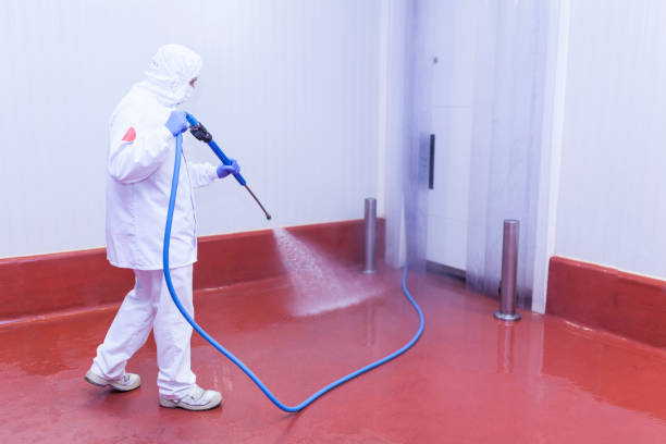 Reliable Groveland, FL Pressure Washing Services Solutions